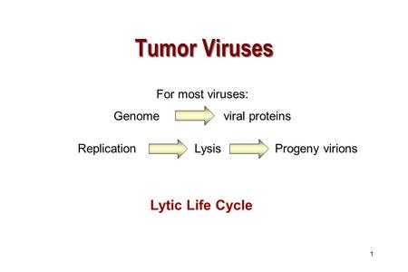 Replication Lysis Progeny virions