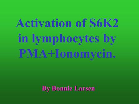 Activation of S6K2 in lymphocytes by PMA+Ionomycin. By Bonnie Larsen.