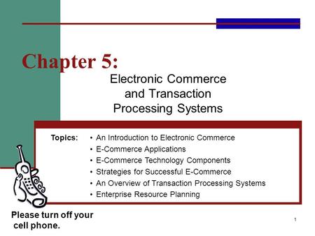 Electronic Commerce and Transaction Processing Systems