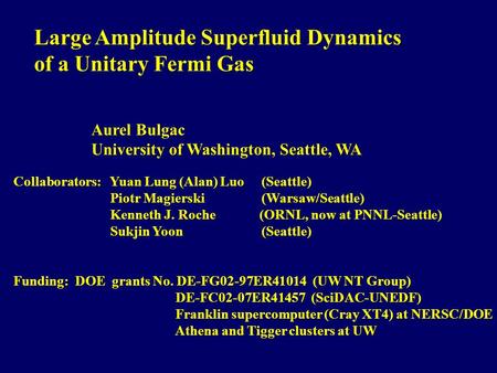 Aurel Bulgac University of Washington, Seattle, WA Collaborators: Yuan Lung (Alan) Luo (Seattle) Piotr Magierski (Warsaw/Seattle) Piotr Magierski (Warsaw/Seattle)