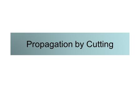 Propagation by Cutting. Woody cuttings Tip Simple or straight Heel Mallet.