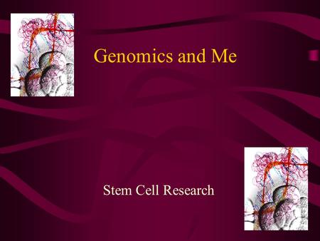 Genomics and Me Stem Cell Research. Terminology Totipotent Pluripotent Multipotent Differentiation Blastocyst.