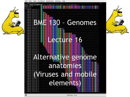 BME 130 – Genomes Lecture 16 Alternative genome anatomies (Viruses and mobile elements)