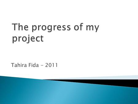 Tahira Fida - 2011.  The Islamic dress between the religion, the modern changes, and five artists’ representations.  Fida (2010) 4x1 A Female Interpretation.