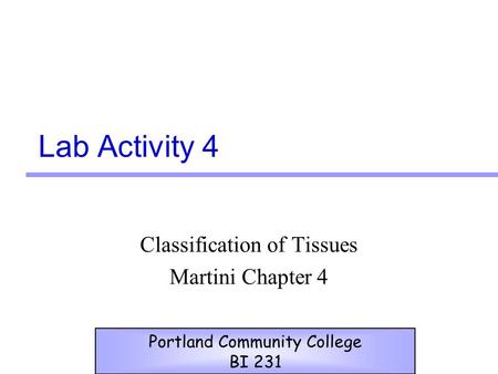 Classification of Tissues Martini Chapter 4