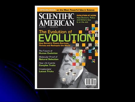 Lecture 3 1. Leftovers… 2. Kinds of evidence and reasoning at work in evolutionary theorizing. 3. Anticipating next readings (by A.J. Ayer and Karl Popper)