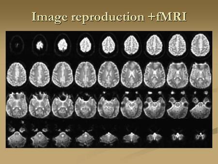 Image reproduction +fMRI. Filtered Back Projection.