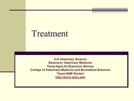 Treatment 4-H Veterinary Science Extension Veterinary Medicine Texas AgriLife Extension Service College of Veterinary Medicine and Biomedical Sciences.