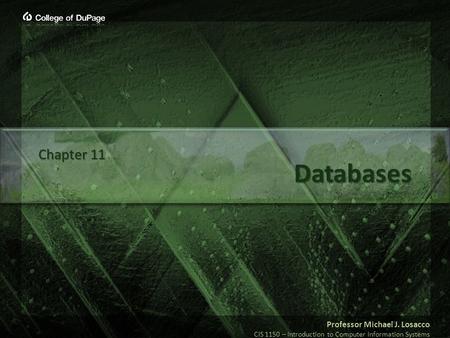 Professor Michael J. Losacco CIS 1150 – Introduction to Computer Information Systems Databases Chapter 11.