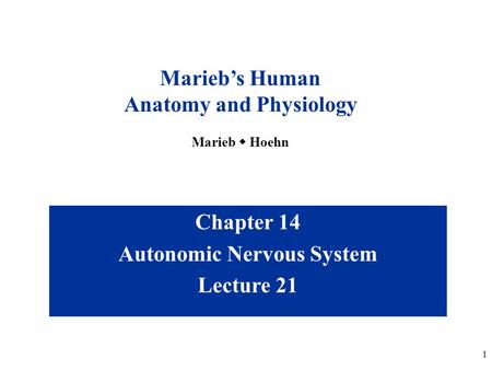 Anatomy and Physiology Autonomic Nervous System