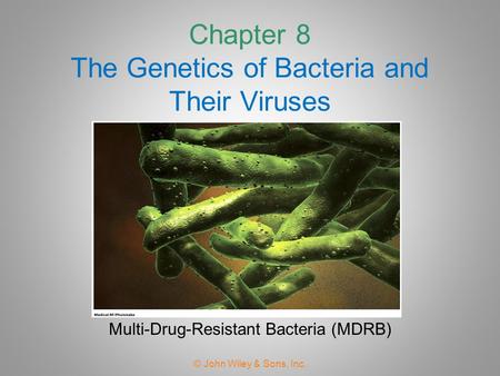 Chapter 8 The Genetics of Bacteria and Their Viruses