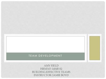 TEAM DEVELOPMENT AMY FJELD HRM345-1404B-02 BUILDING EFFECTIVE TEAMS INSTRUCTOR: JAMIE BOYD.