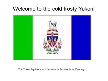 Welcome to the cold frosty Yukon! The Yukon flag has a wolf because its famous for wolf racing.