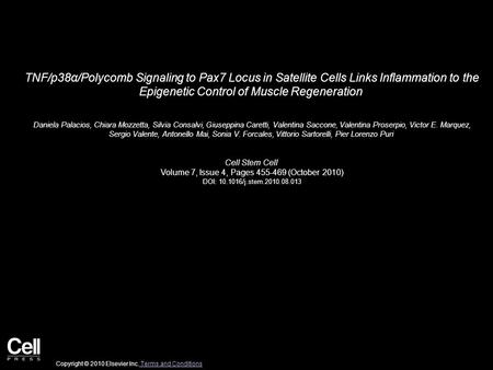 TNF/p38α/Polycomb Signaling to Pax7 Locus in Satellite Cells Links Inflammation to the Epigenetic Control of Muscle Regeneration Daniela Palacios, Chiara.