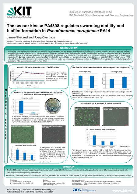 KIT – University of the State of Baden-Wuerttemberg and National Research Center of the Helmholtz Association The sensor kinase PA4398 regulates swarming.