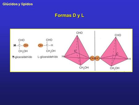 Formas D y L.