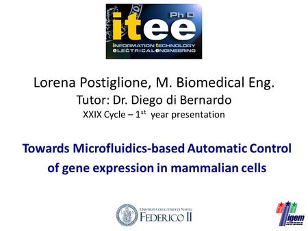 Lorena Postiglione, M. Biomedical Eng. Tutor: Dr. Diego di Bernardo XXIX Cycle – 1 st year presentation Towards Microfluidics-based Automatic Control of.