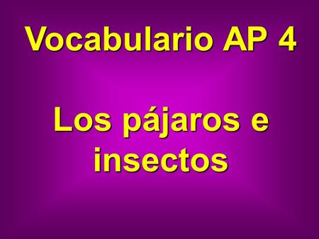 Vocabulario AP 4 Los pájaros e insectos. gaviota seagull.