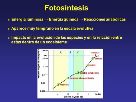 Fotosíntesis estas dentro de un ecosistema