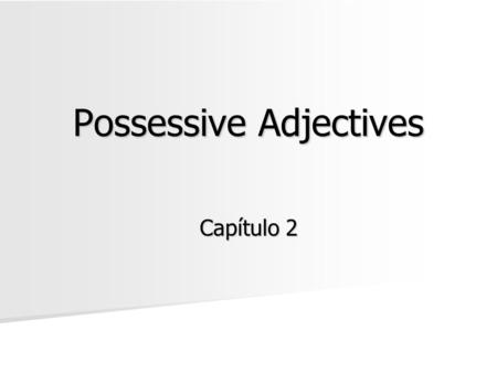 Possessive Adjectives