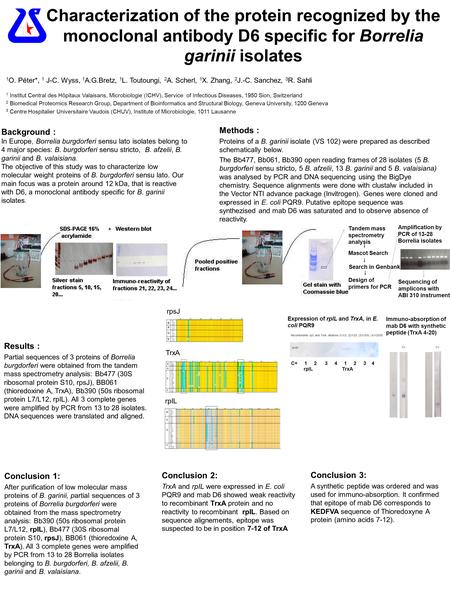 Characterization of the protein recognized by the monoclonal antibody D6 specific for Borrelia garinii isolates 1 O. Péter*, 1 J-C. Wyss, 1 A.G.Bretz,