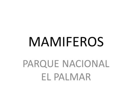 PARQUE NACIONAL EL PALMAR