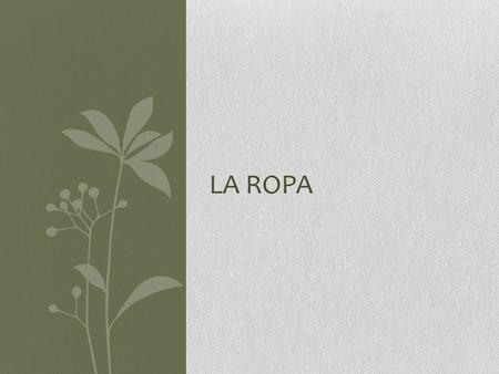 LA ROPA. To talk about shopping El dependiente: the sales person ¿En qué puedo servirle?: How can I help you? Entrar: to enter La tienda: the store La.