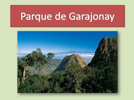 Parque de Garajonay.