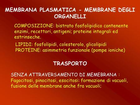 MEMBRANA PLASMATICA - MEMBRANE DEGLI ORGANELLI COMPOSIZIONE: bistrato fosfolipidico contenente enzimi, recettori, antigeni; proteine integrali ed estrinseche.