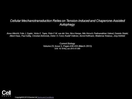 Cellular Mechanotransduction Relies on Tension-Induced and Chaperone-Assisted Autophagy Anna Ulbricht, Felix J. Eppler, Victor E. Tapia, Peter F.M. van.