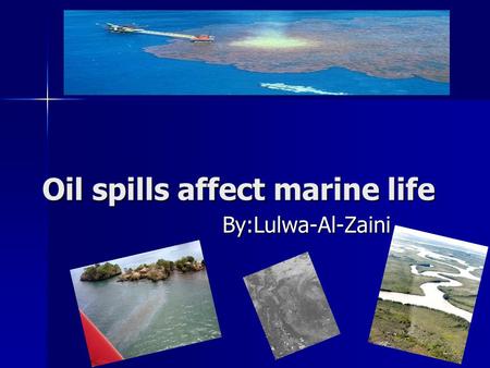 Oil spills affect marine life By:Lulwa-Al-Zaini. What is an oil spill? Oil spills might happen when people make mistakes or are careless that cause an.