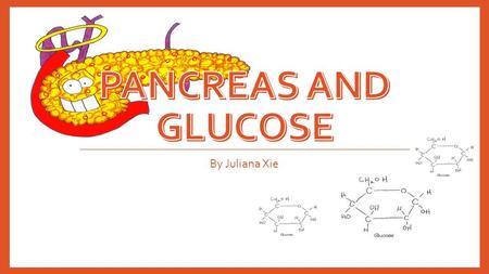 Pancreas and glucose By Juliana Xie.