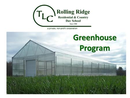 Greenhouse Program. Seasonal Bedding Plant Program Winter growing – March/April sales – Easter lilies, Bulbs, Gerbera daises Winter/Spring growing –