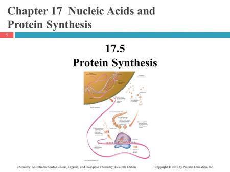 Chemistry: An Introduction to General, Organic, and Biological Chemistry, Eleventh Edition Copyright © 2012 by Pearson Education, Inc. Chapter 17 Nucleic.