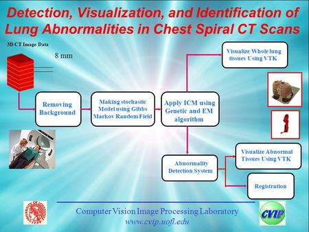 3D CT Image Data Visualize Whole lung tissues Using VTK 8 mm