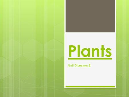 Plants Unit 3 Lesson 2. Objective: 1. Identify the word lifecycle and Embryo. 2. Arrange lima bean life cycle. 3. Identify Maturity and Germination stages.