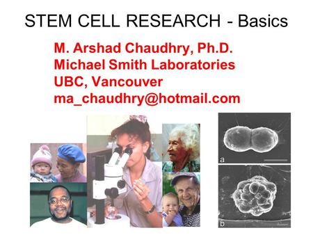 STEM CELL RESEARCH - Basics