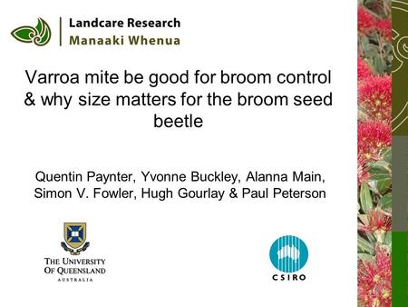 Varroa mite be good for broom control & why size matters for the broom seed beetle Quentin Paynter, Yvonne Buckley, Alanna Main, Simon V. Fowler, Hugh.