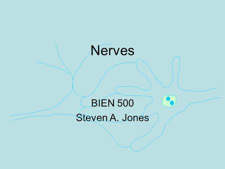 Nerves BIEN 500 Steven A. Jones.