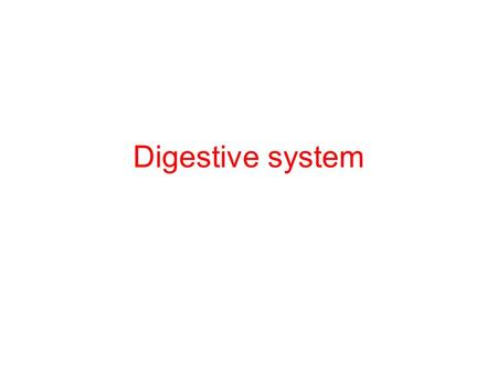 Digestive system.