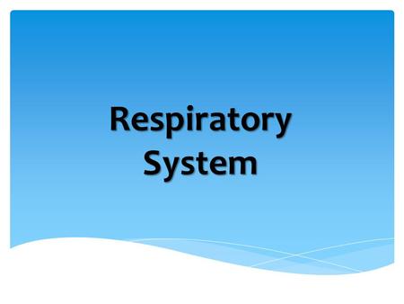 Respiratory System.