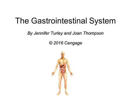 The Gastrointestinal System