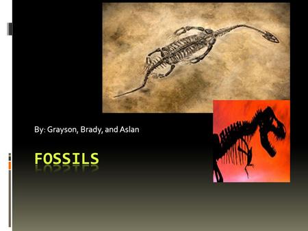 By: Grayson, Brady, and Aslan. How are Fossils formed? Fossils are formed when animals or plants and bones get stuck with mud or tar. They are also made.