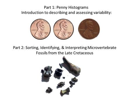 Part 1: Penny Histograms Introduction to describing and assessing variability: Part 2: Sorting, Identifying, & Interpreting Microvertebrate Fossils from.