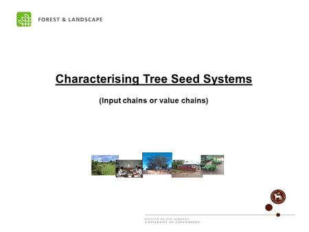 Characterising Tree Seed Systems (Input chains or value chains)