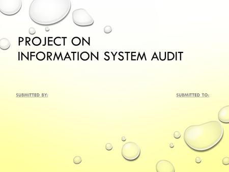 PROJECT ON information system audit