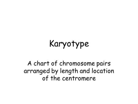 Karyotype A chart of chromosome pairs arranged by length and location of the centromere.