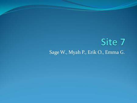 Sage W., Myah P., Erik O., Emma G.. Overall Health of the Mullet River The overall health of the river is okay because of some contributing factors like.