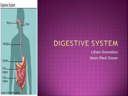 Lilian Gonzalez Sean-Paul Gouw o Digestion is important for breaking down food into nutrients o Food is broken down into smaller molecules o The body.