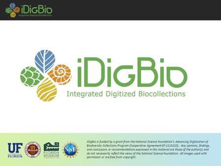 IDigBio is funded by a grant from the National Science Foundation’s Advancing Digitization of Biodiversity Collections Program (Cooperative Agreement EF-1115210).